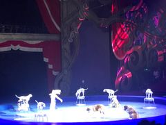 -珠海横琴长隆《卡卡虎奇遇记》