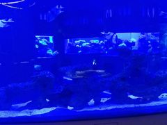 -上和臻品中国菜(花园街店)