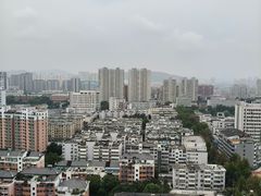 -津门张记包子铺(三马路店)