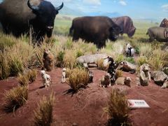 -陕西自然博物馆