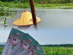 -荷塘月色湿地公园·向阳花洲