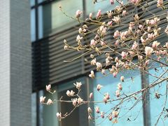 -北京航空航天大学-图书馆