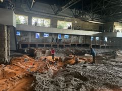 -自贡恐龙博物馆