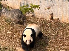 -南宁市动物园