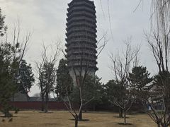 -西海子公园