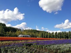 -富田农场