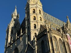 -斯蒂芬主教座堂(Stephansdom)