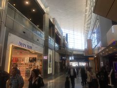 -达拉斯 沃斯堡国际机场