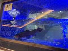 -沱江鱼府(丽江店)