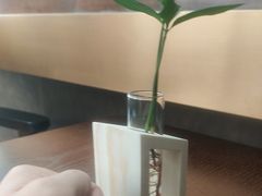 -浅深Cheersum(曹杨店)