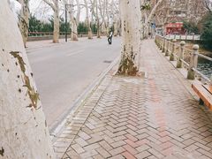 -李公堤