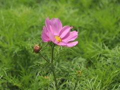 -北京十三陵国家森林公园蟒山景区