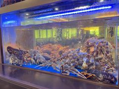 -南海渔村(珠江新城店)