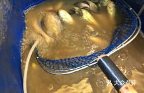 Wild Small Seafood