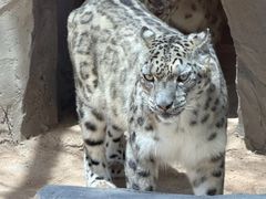 -青藏高原野生动物园