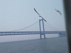 -星海湾跨海大桥