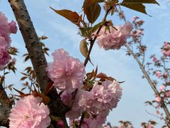 -杭州城北体育公园