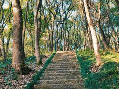 -杭州半山国家森林公园