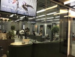 -INS羽毛接发·巴黎画染