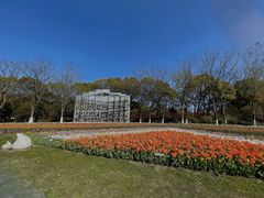 -上海鲜花港