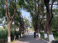 -圩墩遗址公园