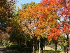 景点-白塘生态植物园