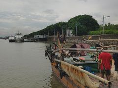 -大湾区中央湿地公园-十九涌