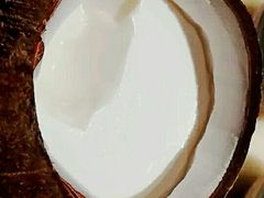 -润泽园椰子鸡(汇一城店)