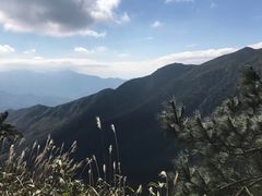 -军营村