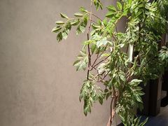 -百富源·海鲜辽菜(张士店)