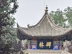 -西安碑林博物馆