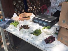 -美家乐农庄·露营·团建(大治路店)