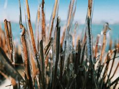 -苏州东太湖生态园