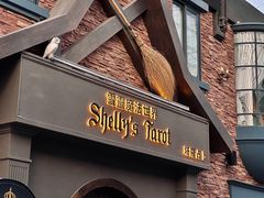 -雪灵魔法世界SHELLY’S TAROT(大良桂畔里店)
