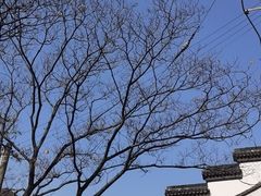 -双塔老饭店