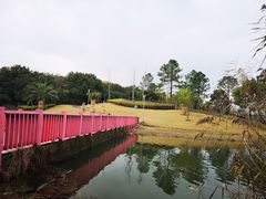 -美兰湖景区