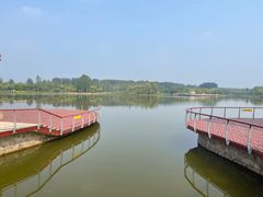 -东郊湿地公园