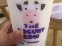 -一只酸奶牛(成都sm广场店)