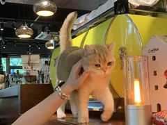 -咖法森林·咖啡  酒吧(天河店)