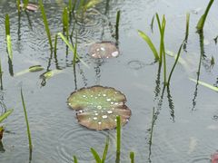 -白塔湖国家湿地公园