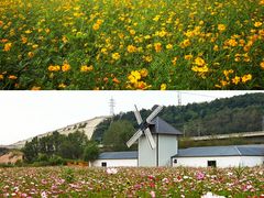-大连铭湖国际观光牧场