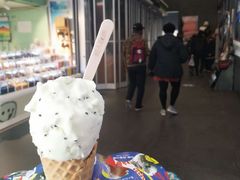 -野人先生现做冰淇淋(北京顺义祥云小镇店)