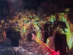 -广州长隆国际大马戏