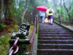 -腾冲云峰山