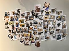 -PETKIT 小佩宠物·低压洗护·美容·寄养(安远店)