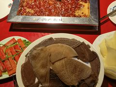 -二荆条·蜀鲜汇城市森林火锅