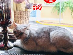 -不舍昼夜咖啡馆