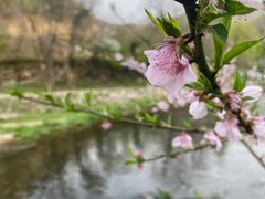 -武汉姚家山旅游景区