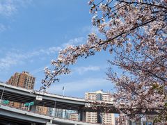 -上海南浦大桥长途旅游客运站