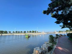 -莫内艺术岛海景咖啡